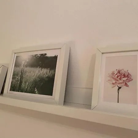 Flowers & Garden Con Vista Daire